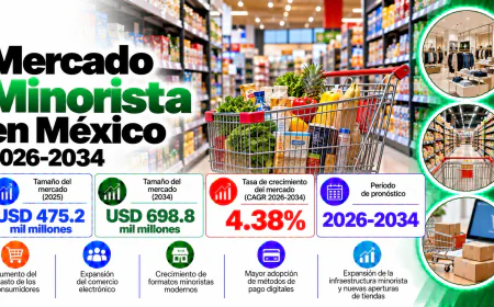 Tamaño, Participación y Análisis del Crecimiento del Mercado Minorista en México 2026-2034