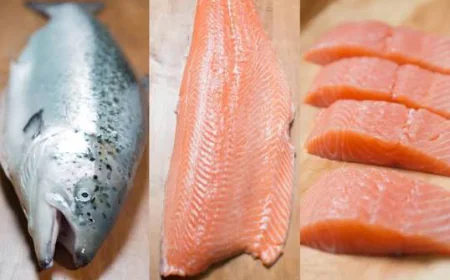 Sixty South Salmon: What Makes Antarctic Salmon Unique?