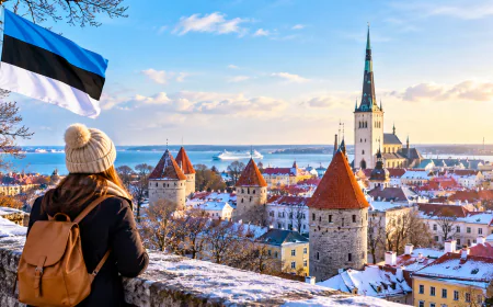 Where Can UAE Residents Get Professional Estonia Tourist Visa Assistance?