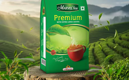 Premium Tea Explained: Quality, Flavor, and Craftsmanship