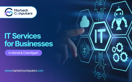 IT Services for Companies in Chandigarh: Tips, Costs & Pitfalls