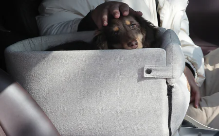 Planning a Road Trip with Your Pet? Choose the Right Pet Car Carrier Bag for Dogs and Cats