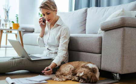 House Call Vet NYC: Services and What to Expect