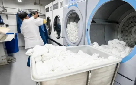 What Are the Benefits of Professional Wash, Dry, and Fold Services?
