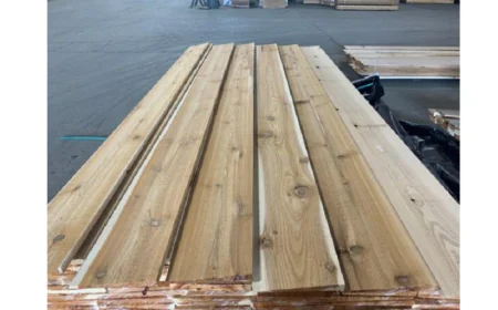 Cedar Siding: Cleaning, Staining, and When to Replace It