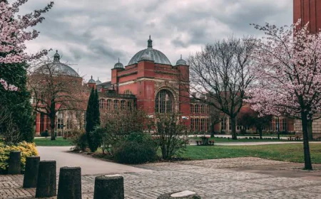 How to Explore Research at University of Birmingham
