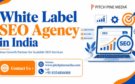 Why Is White Label SEO a Smart Choice for Agencies?