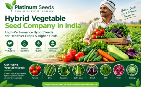 Hybrid Vegetable Seeds | Platinum Seeds