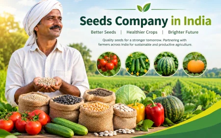 Seeds Company in India: Supporting Better Farming with Quality Seeds