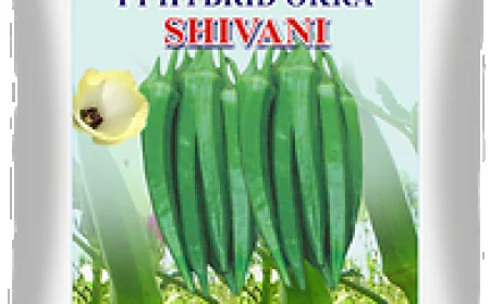 F1 Okra Hybrid Seeds: A Smart Choice for Modern Farming