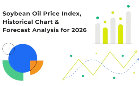 Soybean Oil Price in US: September 2026 Update