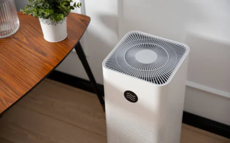 India Air Purifiers Gain Relevance as Indoor Air Quality Concerns Increase