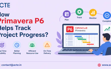How Primavera P6 Helps Project Managers Measure Progress