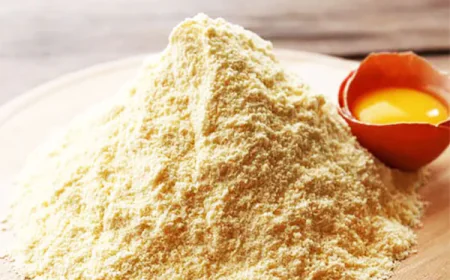 Egg Powder Manufacturing Plant Feasibility Study 2026: Process Details, Revenue Insights and Comprehensive Cost Structure