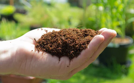 Coco Peat Manufacturing Plant Project Report 2026: CapEx, OpEx and Financial Analysis