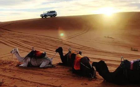 Private Desert Safari Dubai for Couples