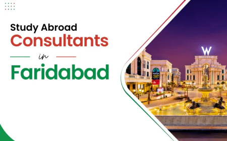 How to Choose the Best Study Abroad Consultants in Faridabad?