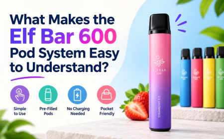 What Makes the Elf Bar 600 Pod System Easy to Understand?