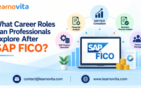 Which Career Paths Can Professionals Choose After SAP FICO?