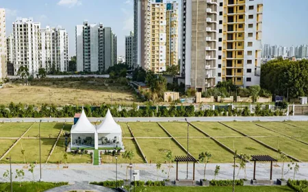 Pardos Sakura Sector 90 Gurgaon: Explore Spacious Homes in a Growing Residential Destination