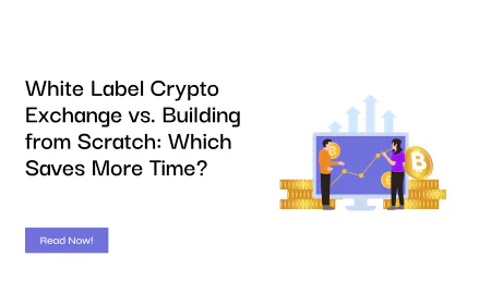 White Label Crypto Exchange vs. Building from Scratch: Which Saves More Time?