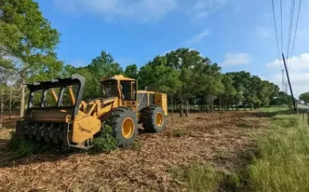 Reliable Land Clearing in Tamaroa, IL for Your Property