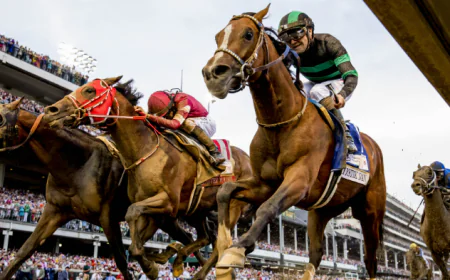 8 Ways a Horse Racing Data Feed Can Support Better Race Analysis