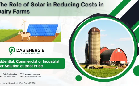 The Role of Solar in Reducing Costs in Dairy Farms