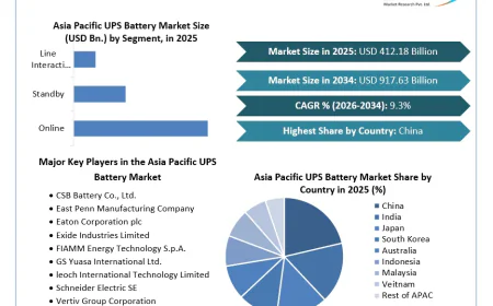 Asia Pacific UPS Battery Market Advances Through Lithium-Ion Battery Adoption