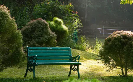 A Wonderful 3-Day Stay at Munnar, Keralam