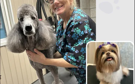 Where Can You Find Quality Pet Grooming at a Fair Price in Columbus?