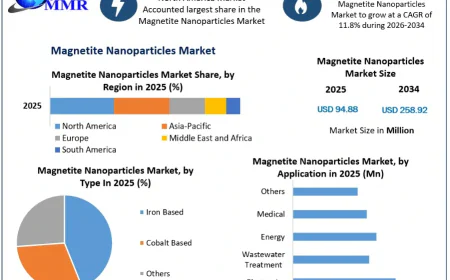 Magnetite Nanoparticles Market Trends, Revenue Forecast, and Growth Outlook Report by MMR