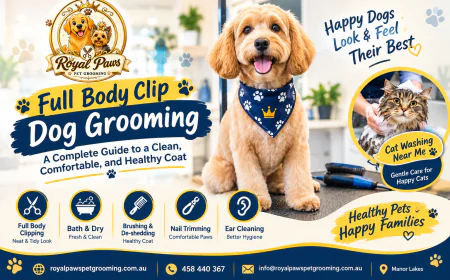 Full Body Clip Dog Grooming: A Complete Guide to a Clean, Comfortable, and Healthy Coat