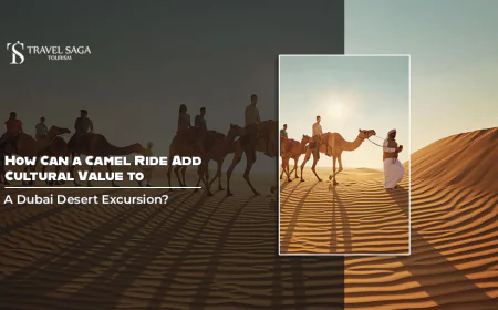 How Can A Camel Ride Add Cultural Value To A Dubai Desert Excursion?