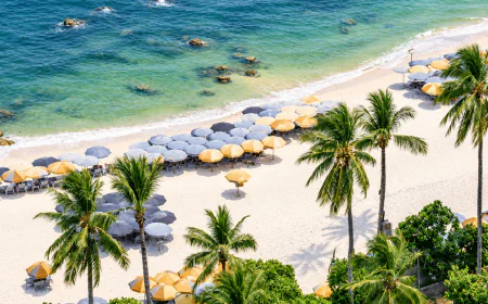 Best Month to Visit Goa for Beaches, Sightseeing and Nightlife