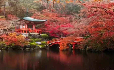 Planning a Memorable Trip to Japan: Top Destinations and Travel Tips