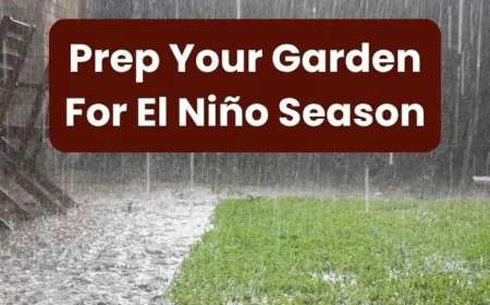 Potting Soil for a Wet El Niño Winter | Evergreen Nursery
