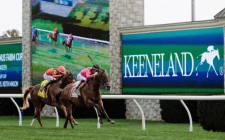 Horse Race Pune: How to Follow News, Results and Race Updates
