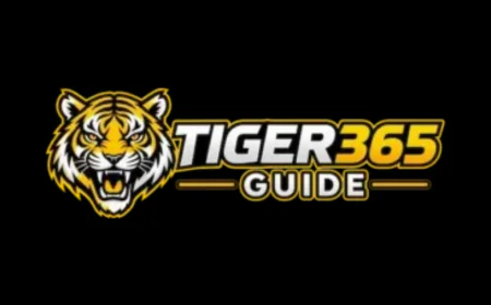Tiger365 Pro Guide – Understanding Login, Account Access and Platform Navigation