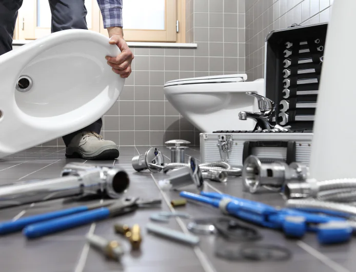How Professional Plumbing Maintenance Helps Prevent Unexpected Repairs?