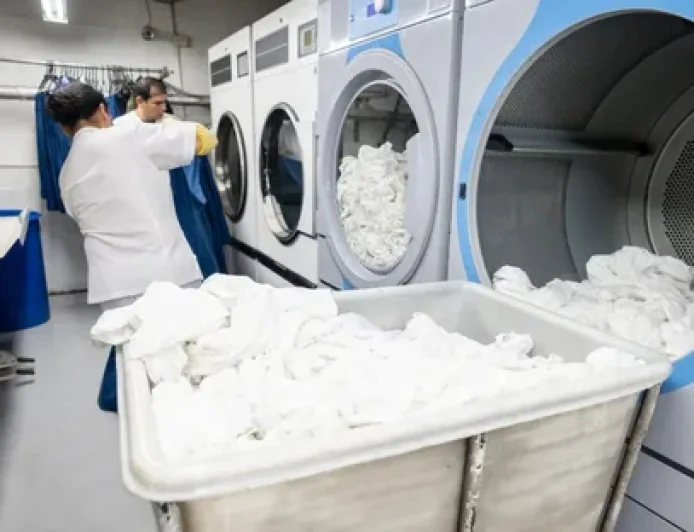 What Are the Benefits of Professional Wash, Dry, and Fold Services?