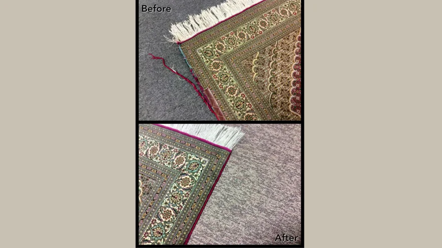 Pet Stain Removal: A Complete Guide for Rug Owners