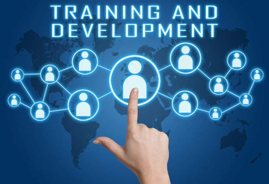 What Learning and Development Programs Should Include