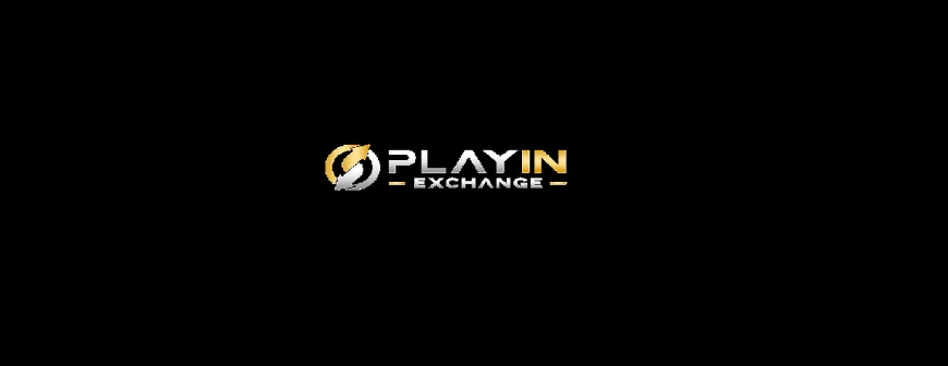 What to Check Before Adding Funds to Playinexch247 Online