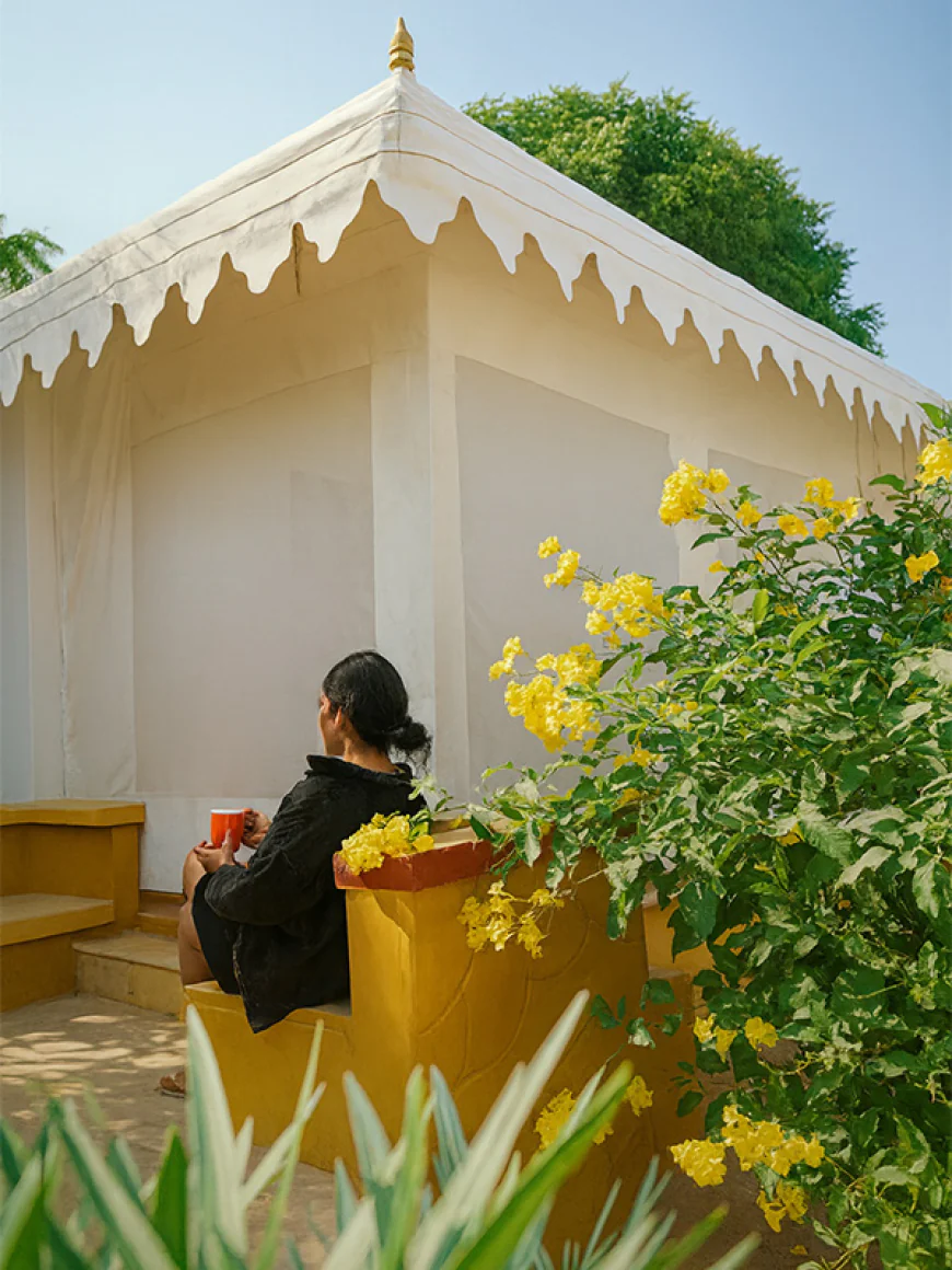 Desert Camp in Jaisalmer – A Royal Escape into the Golden Sands