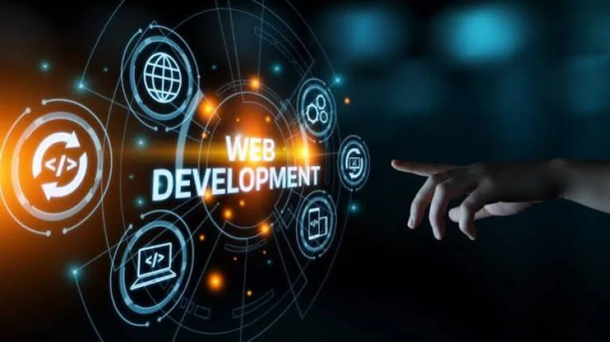 What to Look for in a Professional Web Development Company?