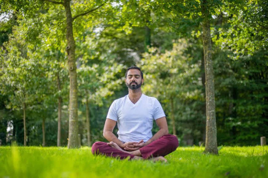How to Choose the Best Ayurvedic Detox Yoga Retreat in Rishikesh