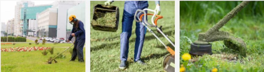 Garden Designers Near Me: Expert Ideas for a Beautiful Garden