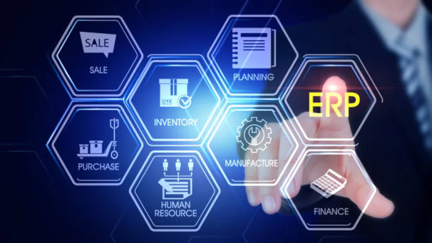 What Are the Advantages of Using an ERP System With Built-In VAT and E-Invoicing