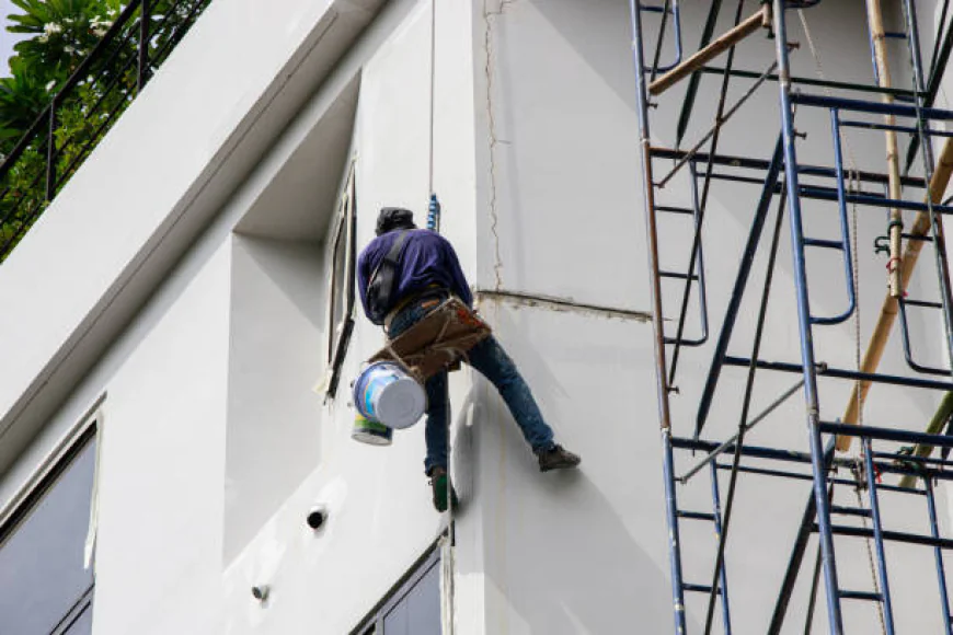 Painting Companies Near Me in Miami Beach FL: How to Choose the Right Professionals